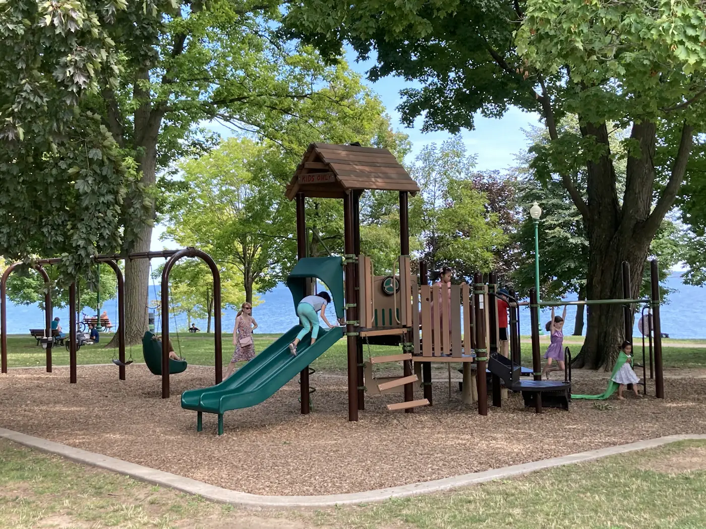 Child exploring nature outdoors
